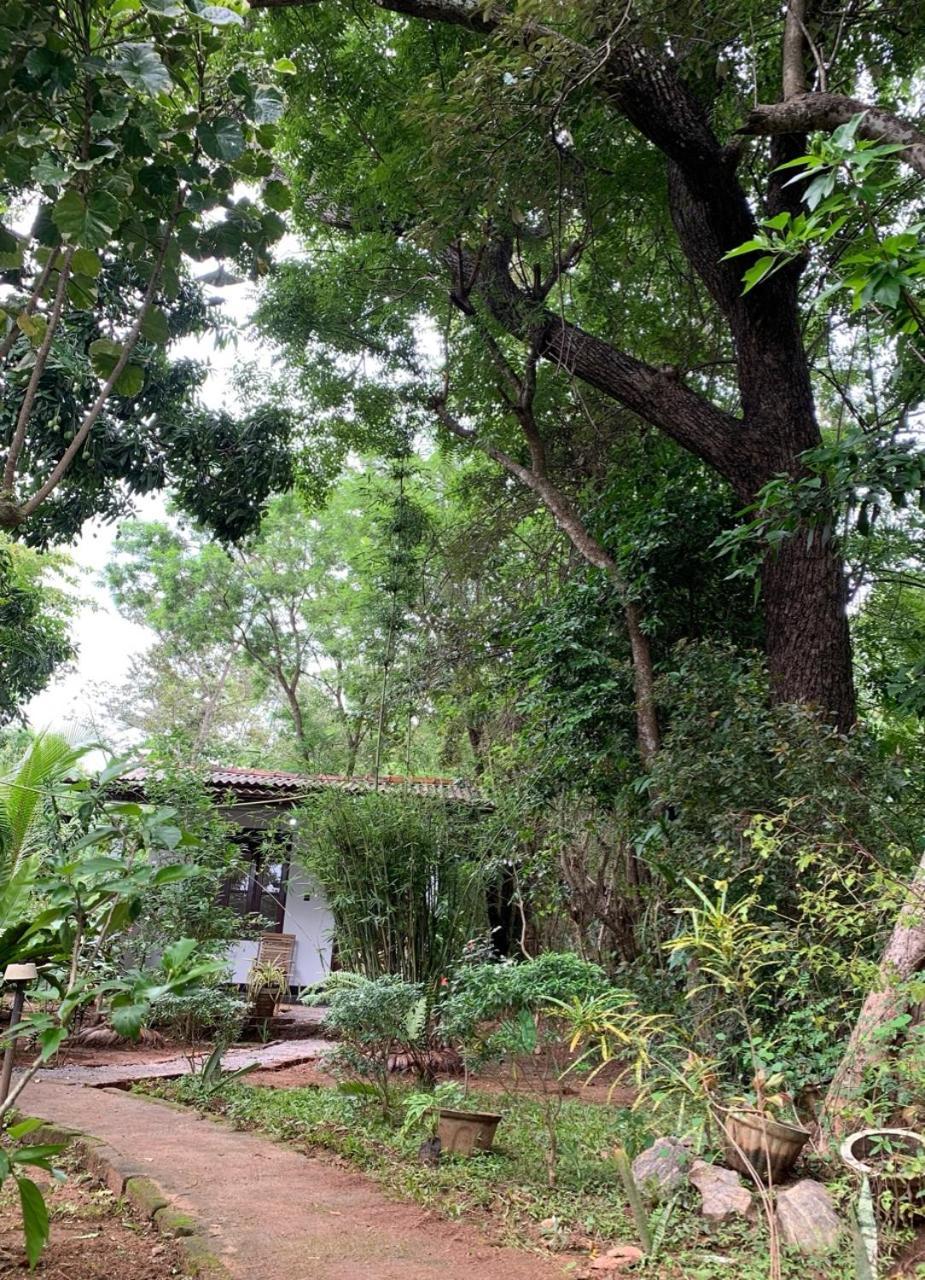 Manju Homestay Szigirija Kültér fotó