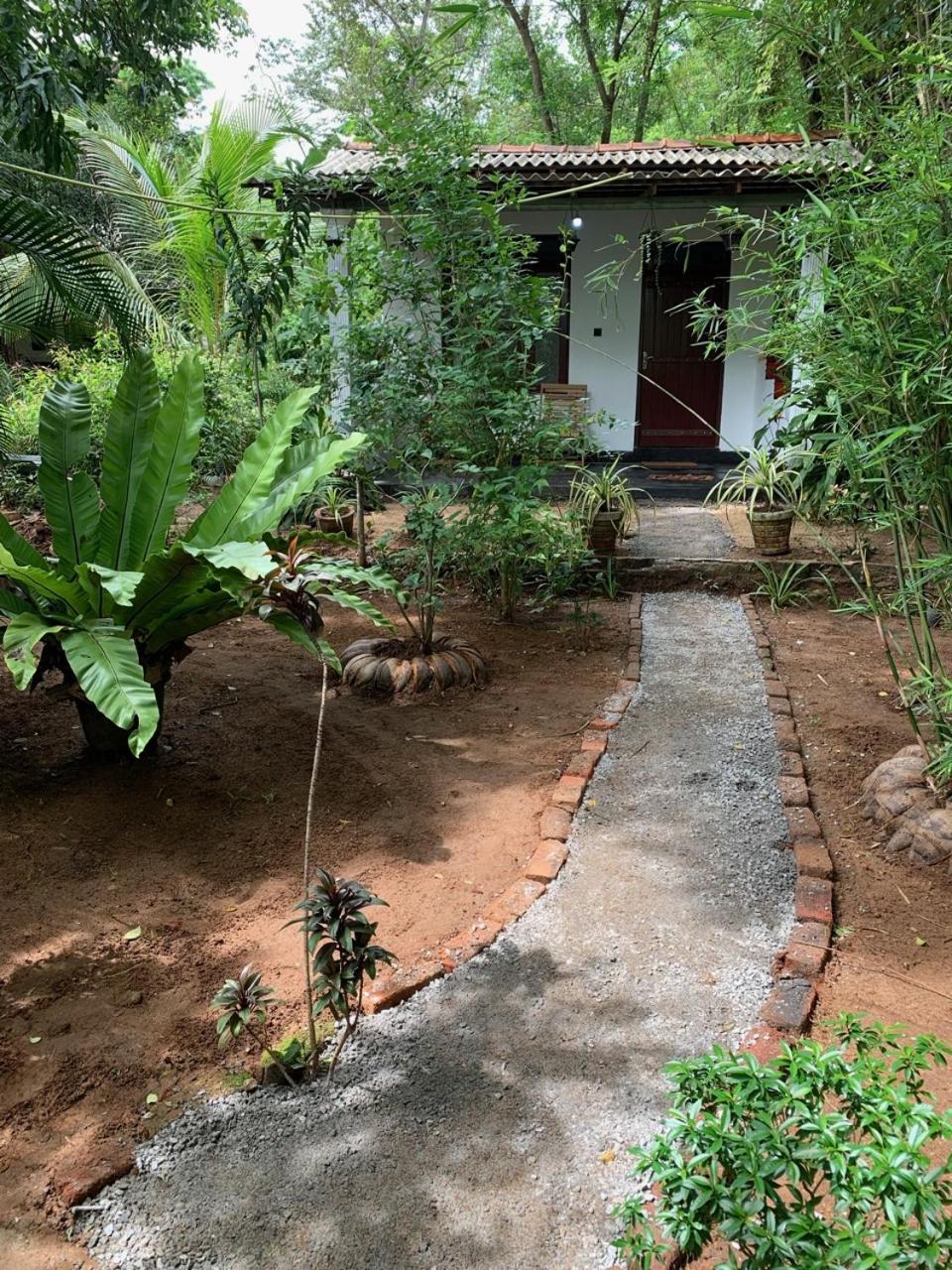 Manju Homestay Szigirija Kültér fotó