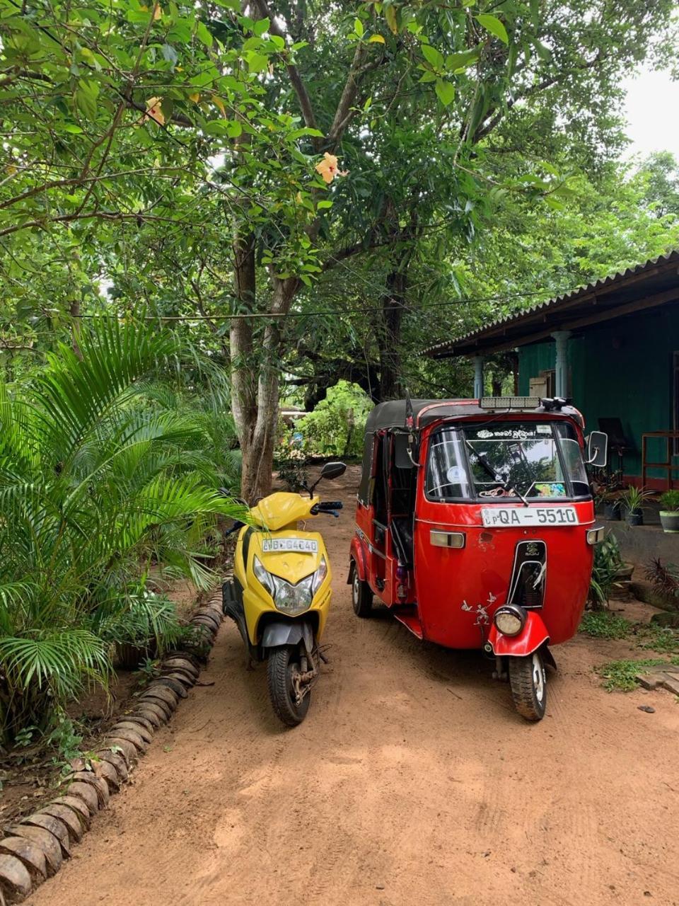 Manju Homestay Szigirija Kültér fotó