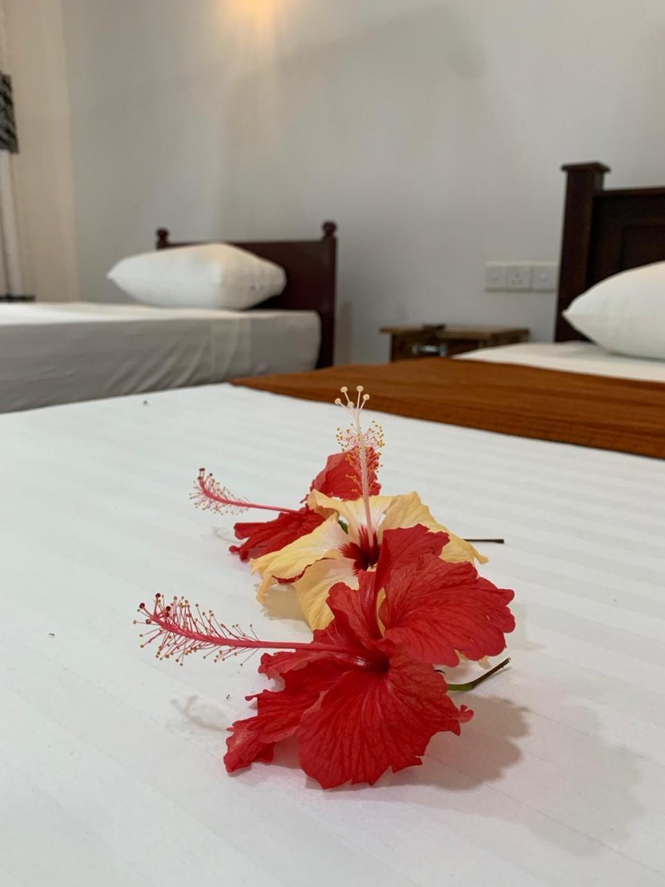 Manju Homestay Szigirija Kültér fotó
