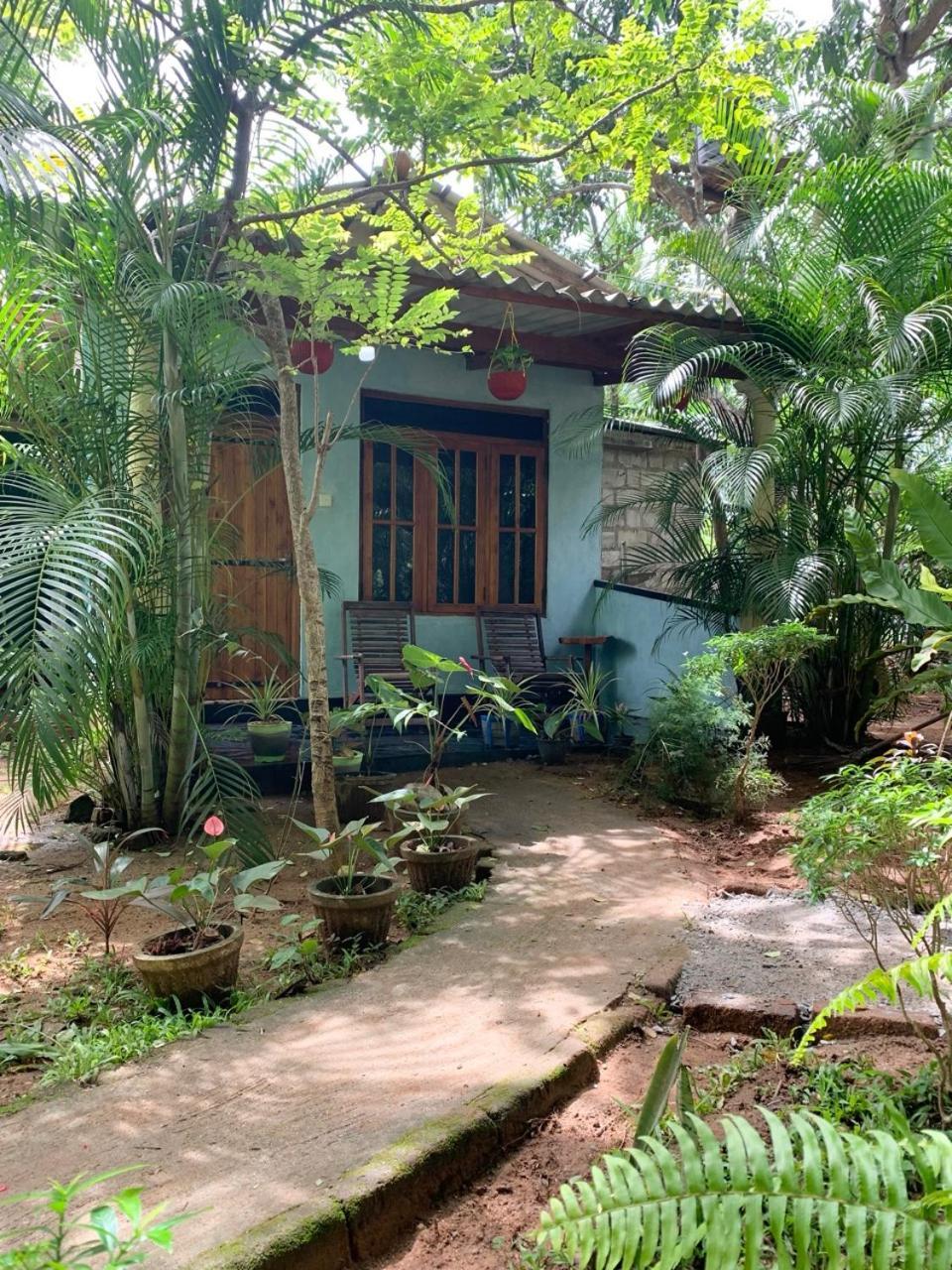 Manju Homestay Szigirija Kültér fotó