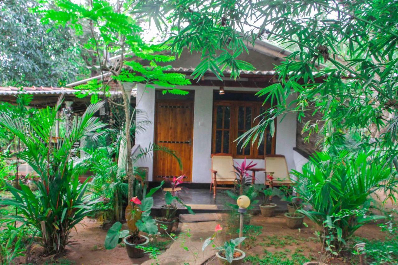 Manju Homestay Szigirija Kültér fotó